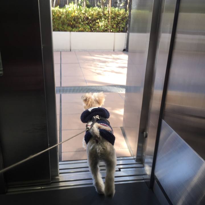 4612dd70 0bb0 4a32 8b7a 3953279de6d7 1544853359923