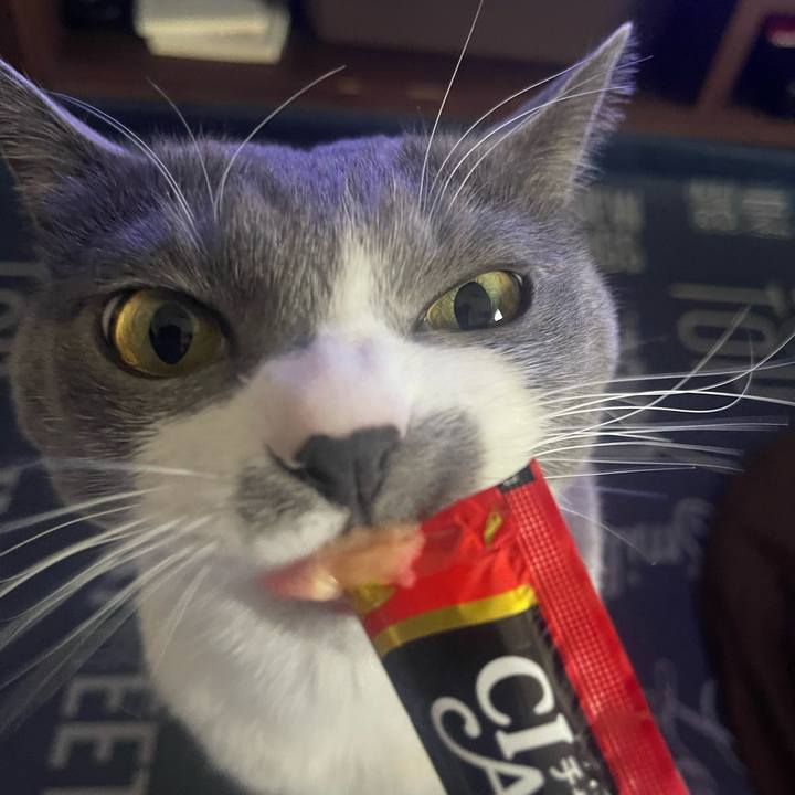 461306e0 659f 4485 9d27 485b96f6a0db 1706767720113