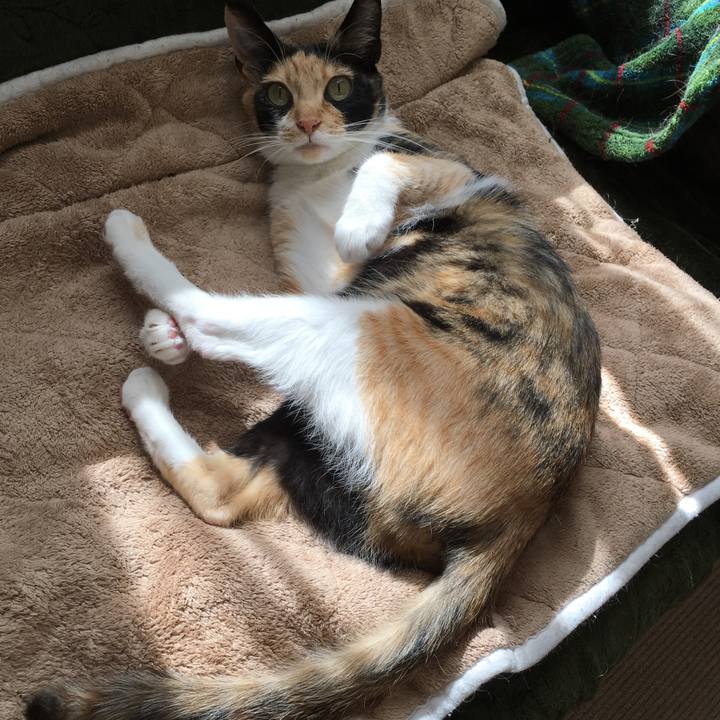 461350b9 7150 4d42 b84d bb3d1cb2e1a3 1519116081868