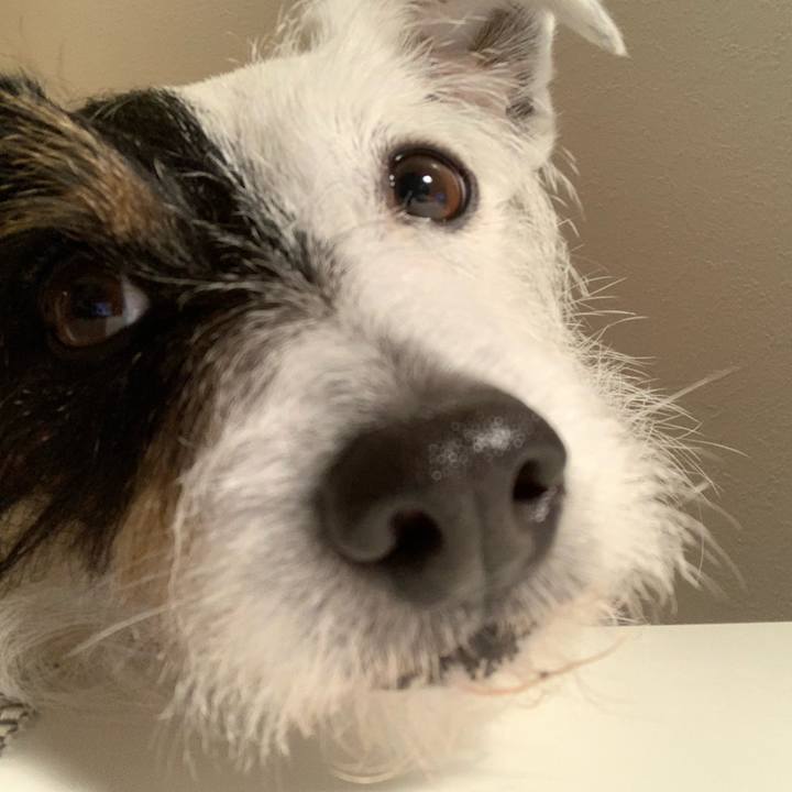 4613680e 052b 4af6 87d0 6c00461f2af1 1582970898316