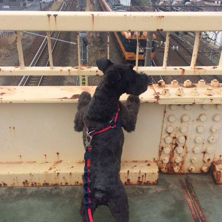 461372cc fd74 450a 90f2 861c457fbf79 1520123306687