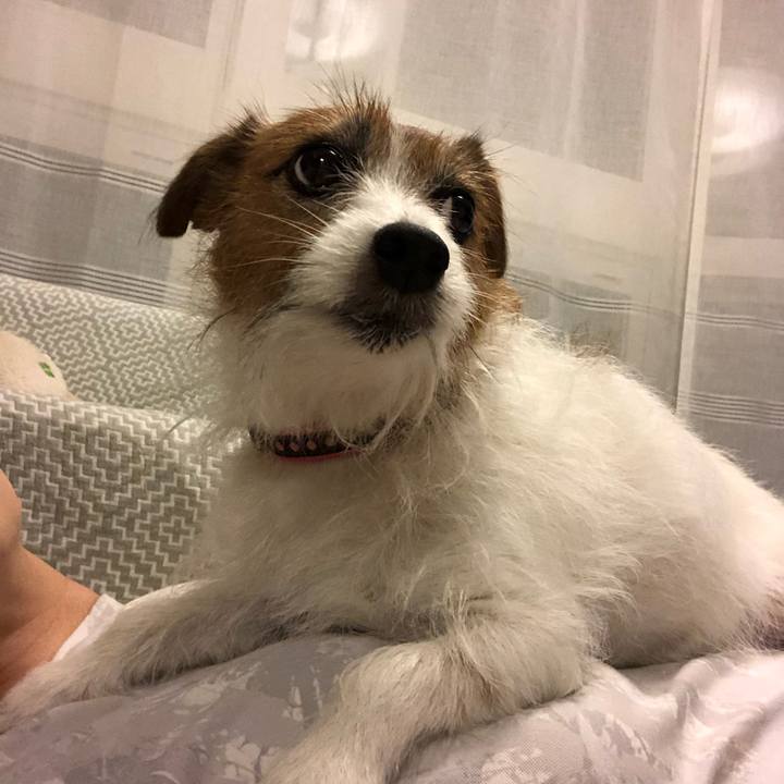 46137d29 972a 4088 b329 d4e402dcb1dc 1631962092144