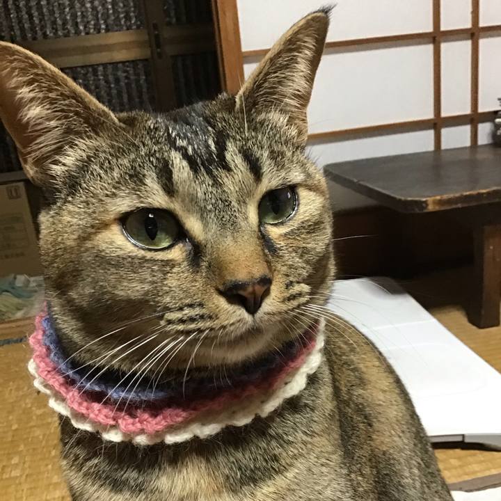 46138a44 ba61 43d8 bd30 1e85ef4a66bb 1617616777685