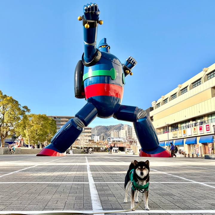 46138b56 9a10 42c0 9d88 da03232e3517 1768049822171