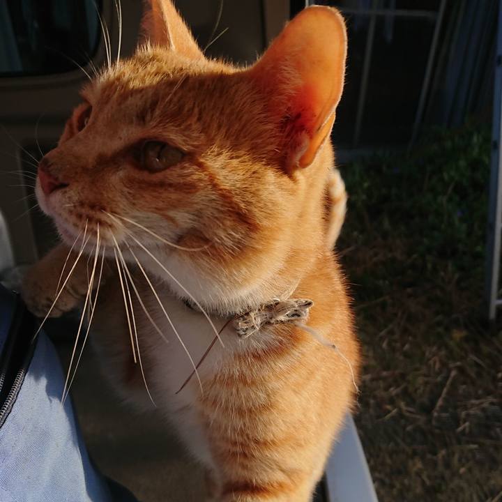 46139238 4593 46c7 94c4 585bda30e84a 1591479383996