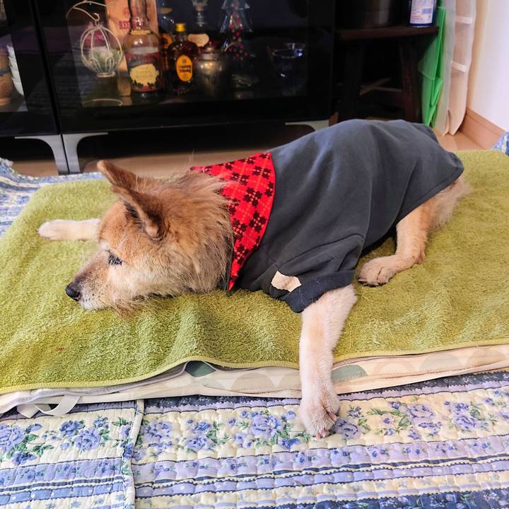 4613bb10 0f2e 4e58 b70a e77e8251e082 1644038255896