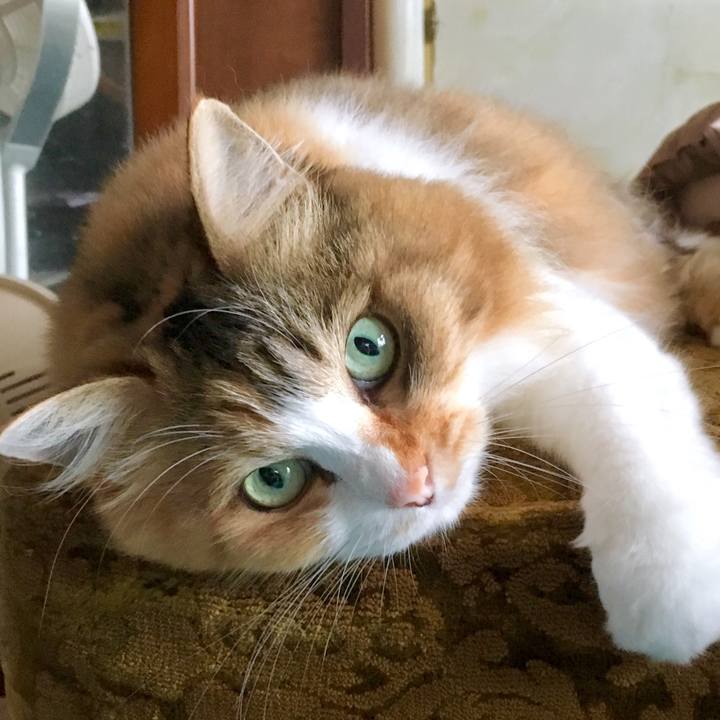 4613eba2 0ca1 43ed b4a9 f6b36c822530 1565753754746