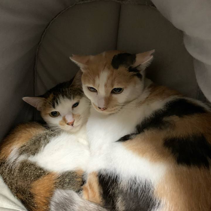 4614142d 513f 4464 9c03 950d9cb00752 1595867806231