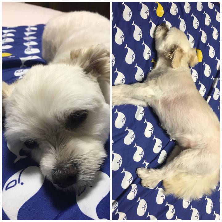 4614168f 9b90 4d32 8638 8ba51c0abaab 1534420370084