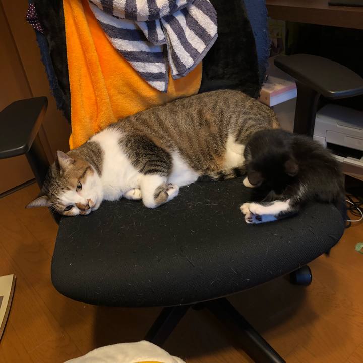 46141735 3419 4629 9c33 05916e12ba3e 1538057617897