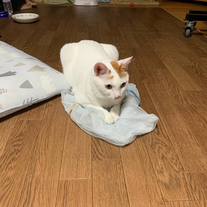 46143d1d 9e3c 44db 8032 08221d29f054 1568207330610