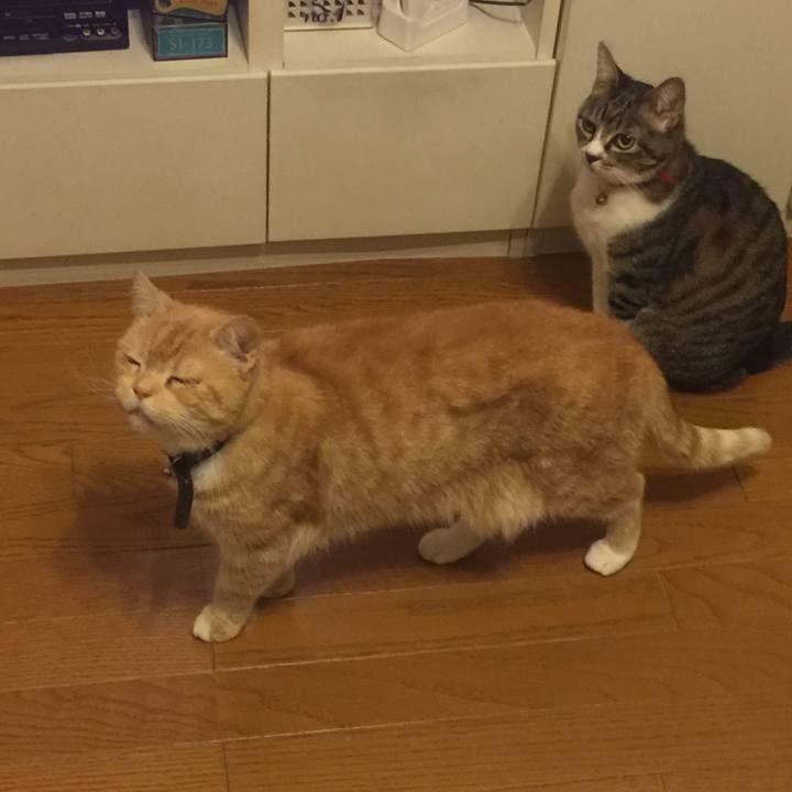 46144865 1f56 4dc8 a750 2658bdbcead2 1557068573410