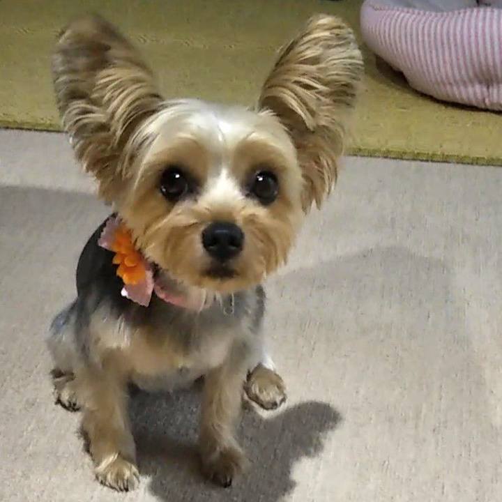 461455ac 4b72 40d1 8722 b351d9caf611 1597273384524