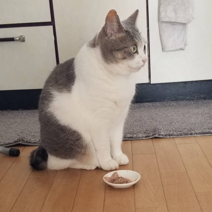 461464fa 1d39 4b45 8c30 2eb17d079021 1690261697959