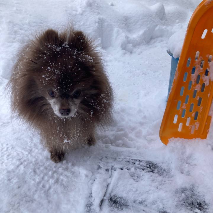 461469ac 1e8c 4e35 ba50 742a048cf22b 1709670295774