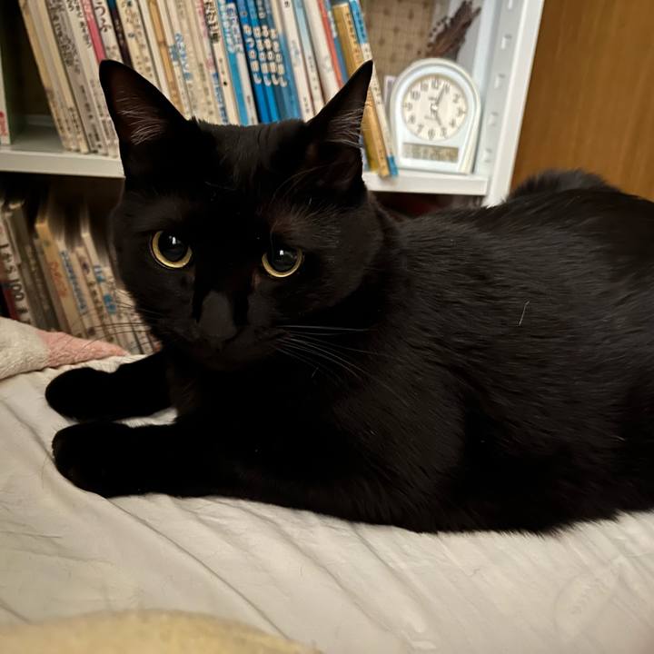 46148723 d57a 409d bb3a 34fe1a4783e8 1653686542789