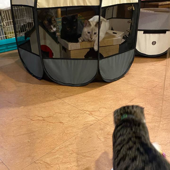 46148c35 ec2b 4612 b1b5 32aa5d6d7757 1634375336144