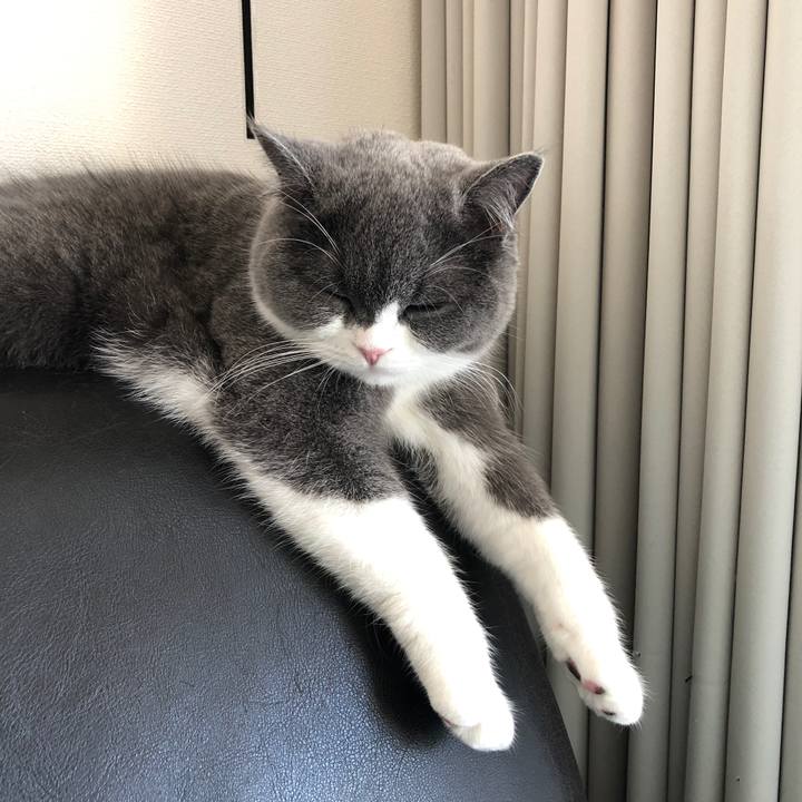 4614cff9 e101 4c78 a5a2 9be1d9929971 1515991651595