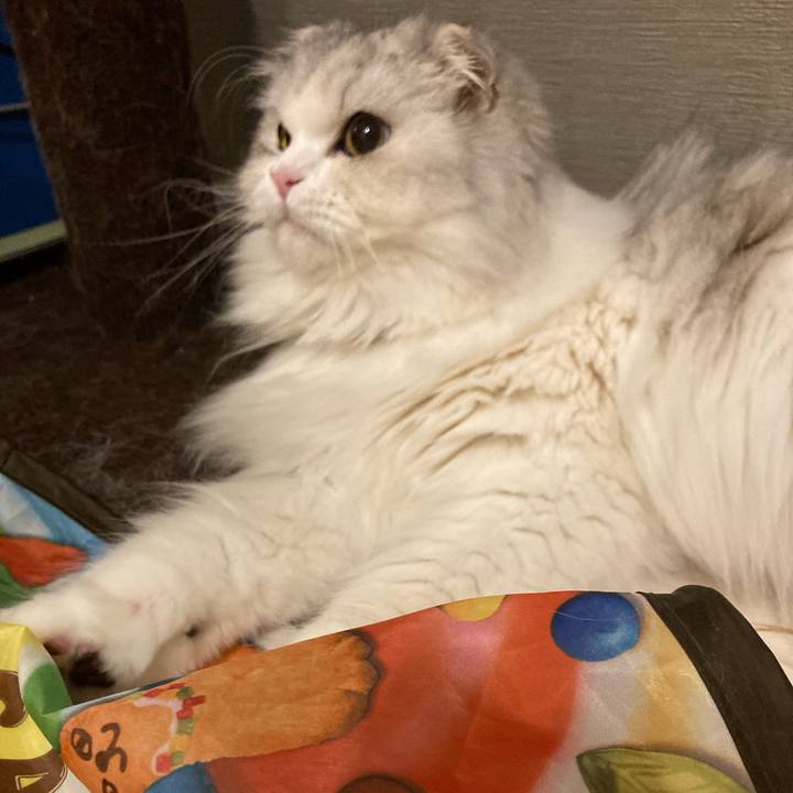 4614e3d0 9c92 405b 9f2c cefec98fc8b8 1663374107451