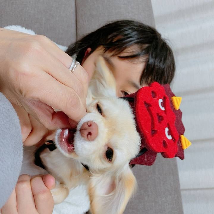 46152ece d816 4d3e a35d 3c4ef7bf9d8c 1612321338954