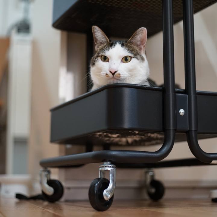 46155c90 6750 449b b0ec 84385aa1271a 1531957446965