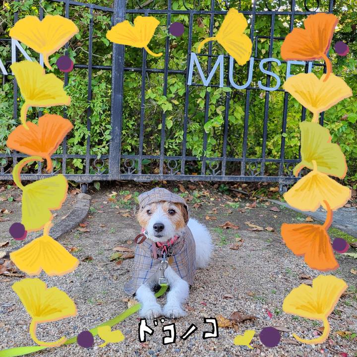 46156784 7602 45d9 93aa ad4f3e15ae10 1730615937079