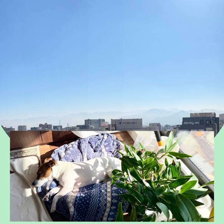 46158d3a e218 4c7a a5e2 bf4ac20bf616 1773715690181