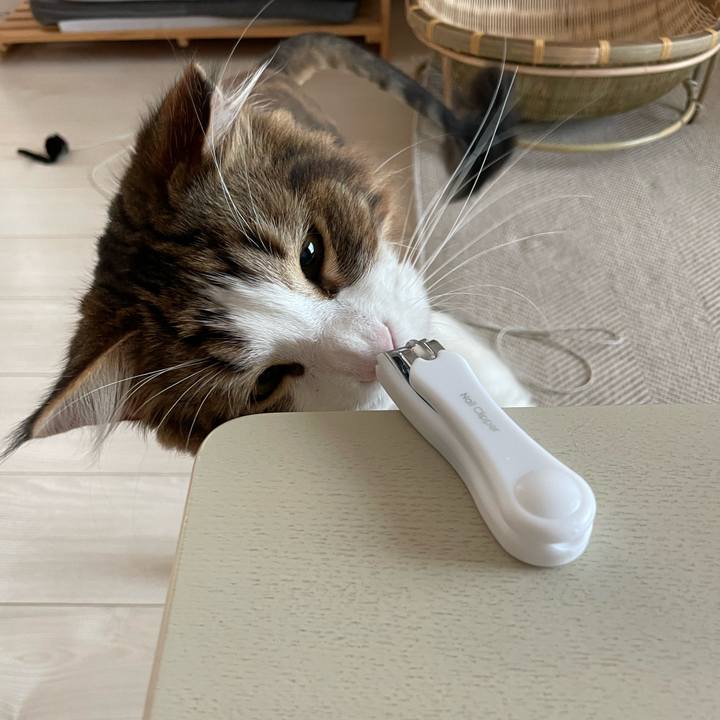 4615b341 0c19 4ae4 92e7 c472cc26923e 1659906366399