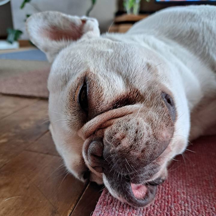 4615d604 d117 4f7c bb78 6346e0a57dd1 1692744498908