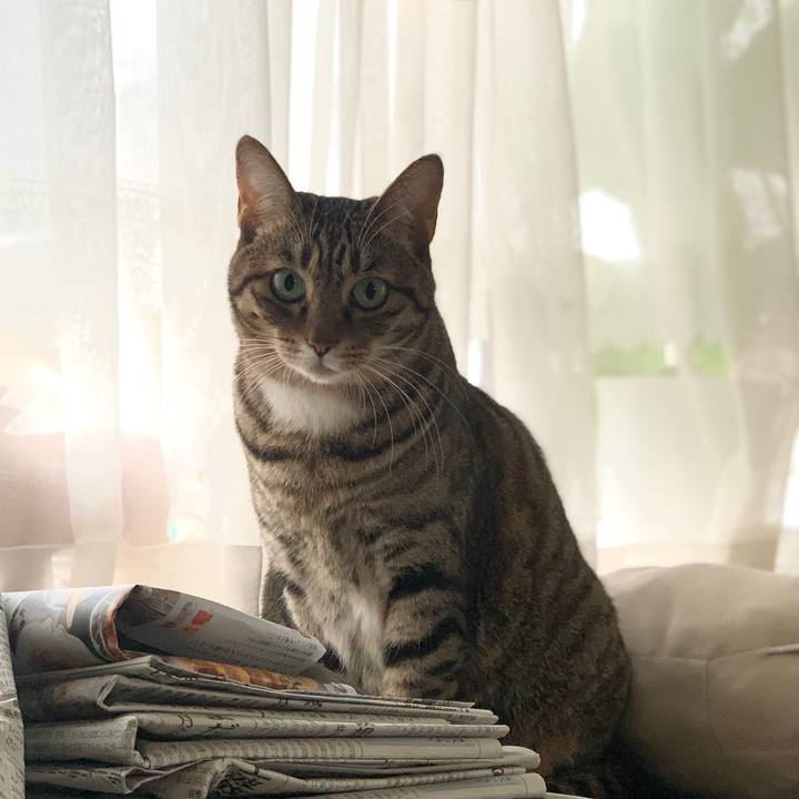 4615f0d4 99a1 4f7e bcf9 2ea9fa7cf50a 1765412597064