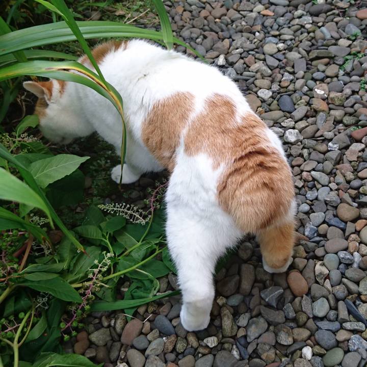 46166be6 429a 43a9 ae14 be8218f7c960 1658557914193