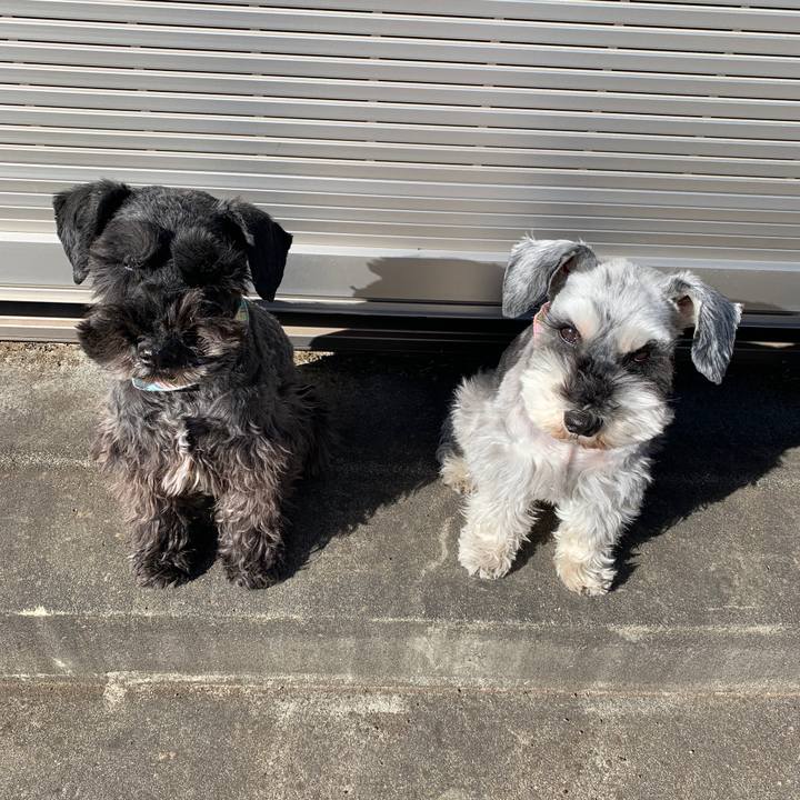 4616a3b5 44d9 42d5 b483 8e2e9a1398b9 1612847582545