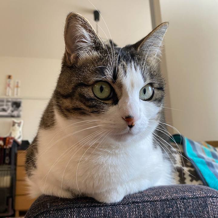 4616be66 80fe 4564 a17a f4cc339c6064 1612340009275