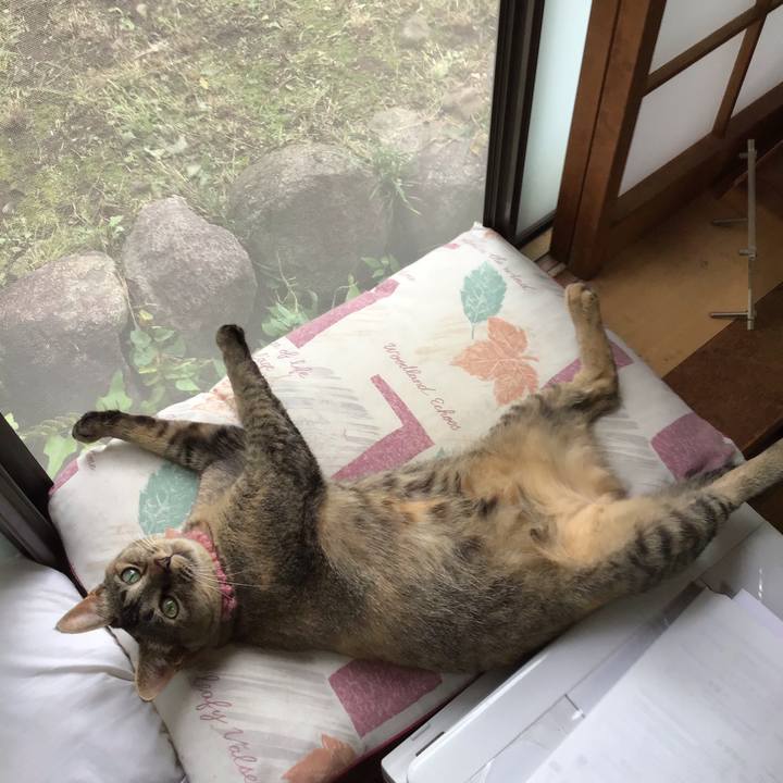 4616c971 9065 470f b3ab c19b981c5d8e 1594187220745