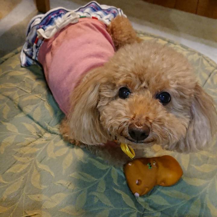 4616cceb c6af 468c 85aa b05ebc050367 1541334877477