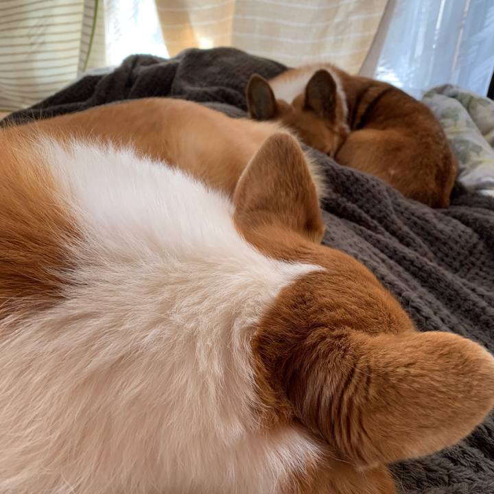 4616ccfc 1b1f 4f5a 8ac5 f03005cd2da9 1644624136547