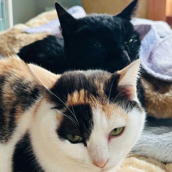 46179607 48bf 40a1 bf3a a0e018fa7d3b 1708741021518