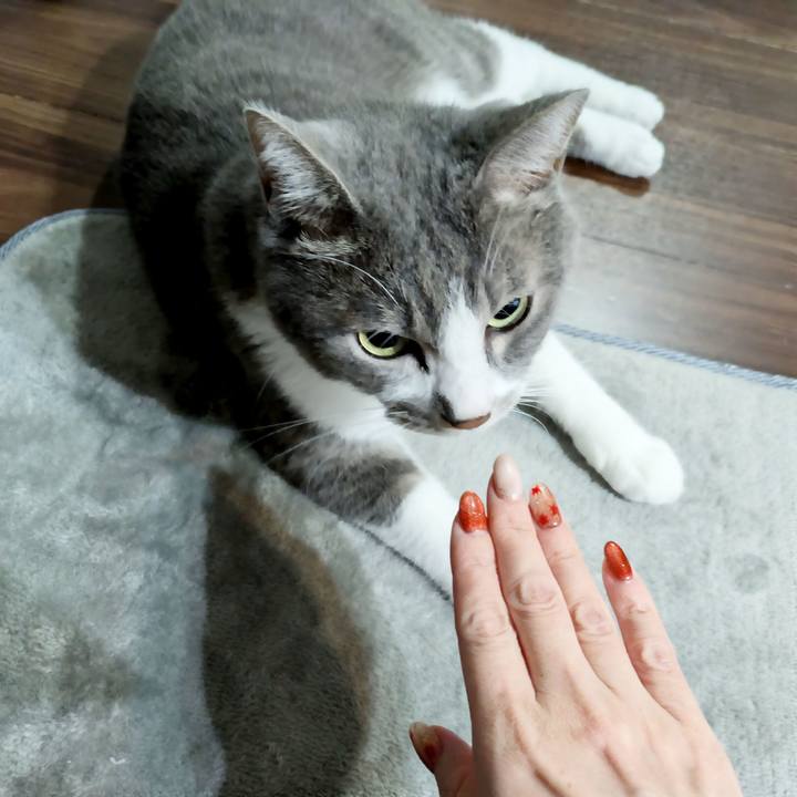 4617b435 a6f3 430f 8da9 f3db978b3d45 1727649828262