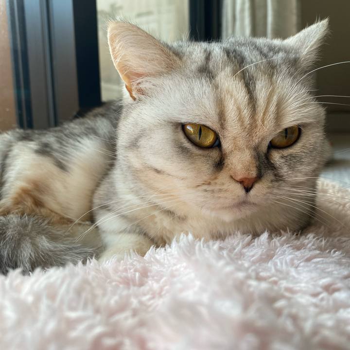 4617c775 5500 4e0b a5b3 0eb91f29be18 1738385415840