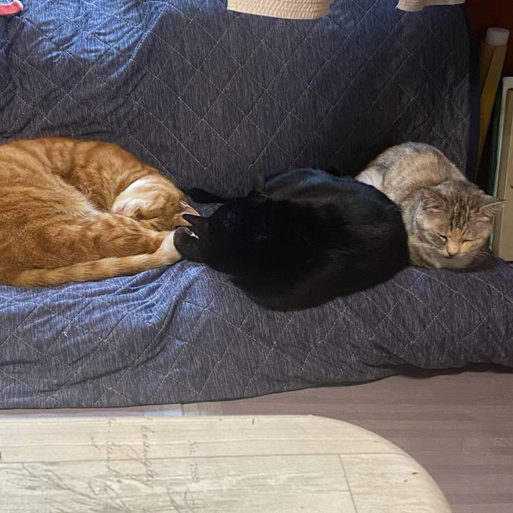 4617e0af 5146 4119 a372 a18603f27522 1638843298665