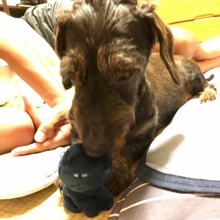 4617ec74 11cd 434f 9196 92e6e1a7a0d1 1566495783260