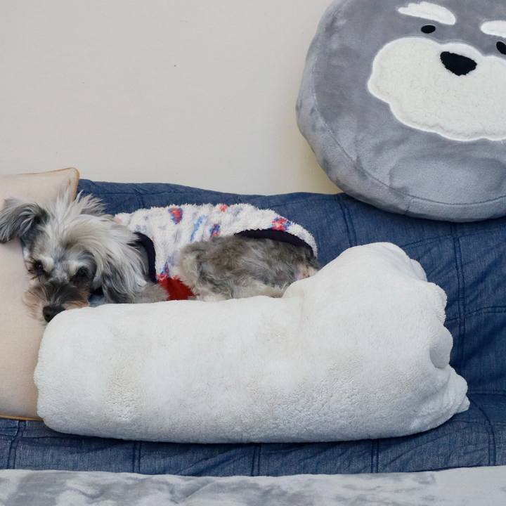 4617eeff cd64 4f8e 9bde 05f9cb7c2f24 1770011013354