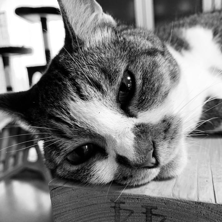 46181df2 9a66 4b67 bd67 8fcbae260d91 1662769524932