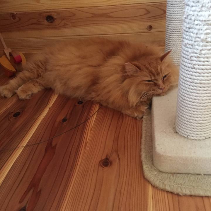 461822de 97e9 43db 8955 3e954f168748 1566344257811