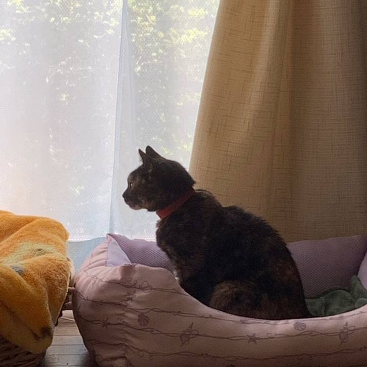 46184741 ac43 4940 802c 1337c4d4bff6 1558581930725