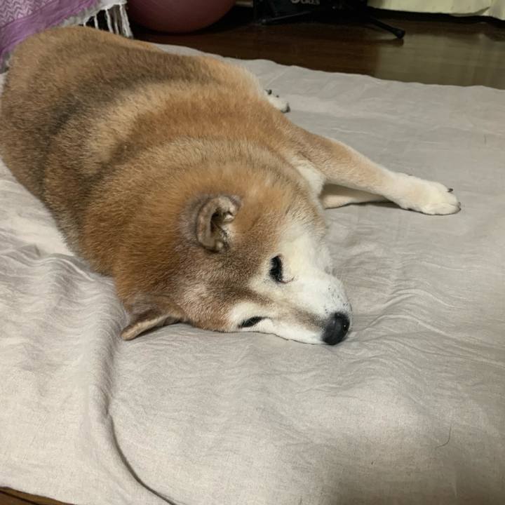 46184a5d d52c 41dd bb83 87fa4a974ad9 1624834658378