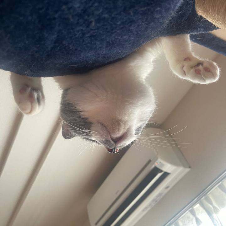 46184e25 be22 4533 9ce3 a4469ba8aeec 1719874088523