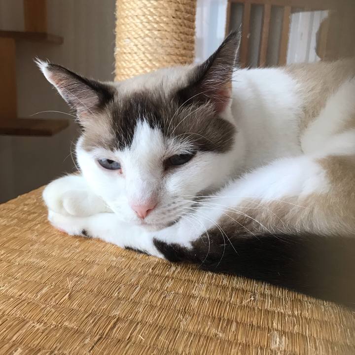 4618528a ec37 4271 bab3 e7d908b79b57 1600693947099