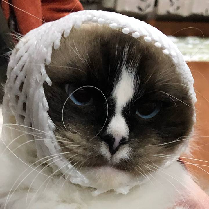 461871f9 7d12 4562 8cb1 bd0cc931de43 1724499637693