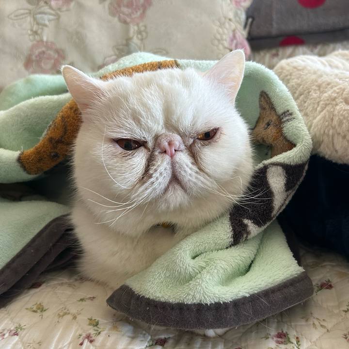 4618cf04 08c8 4739 b1a4 d6ea749f115d 1769247009572